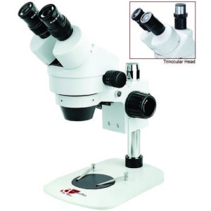 B4 Zoom Stereo Microscope